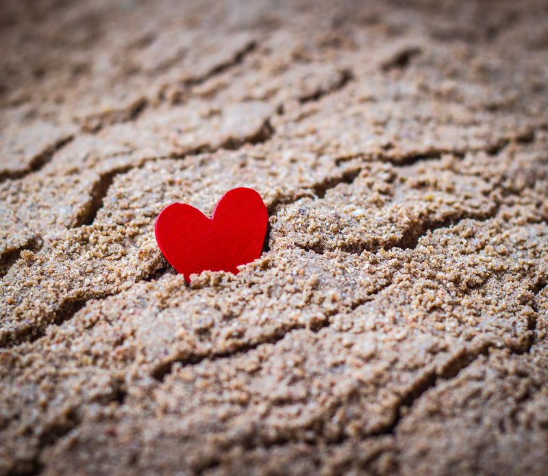 Eveil interieur - Christelle Bouillac - feng-sui et géobiologie