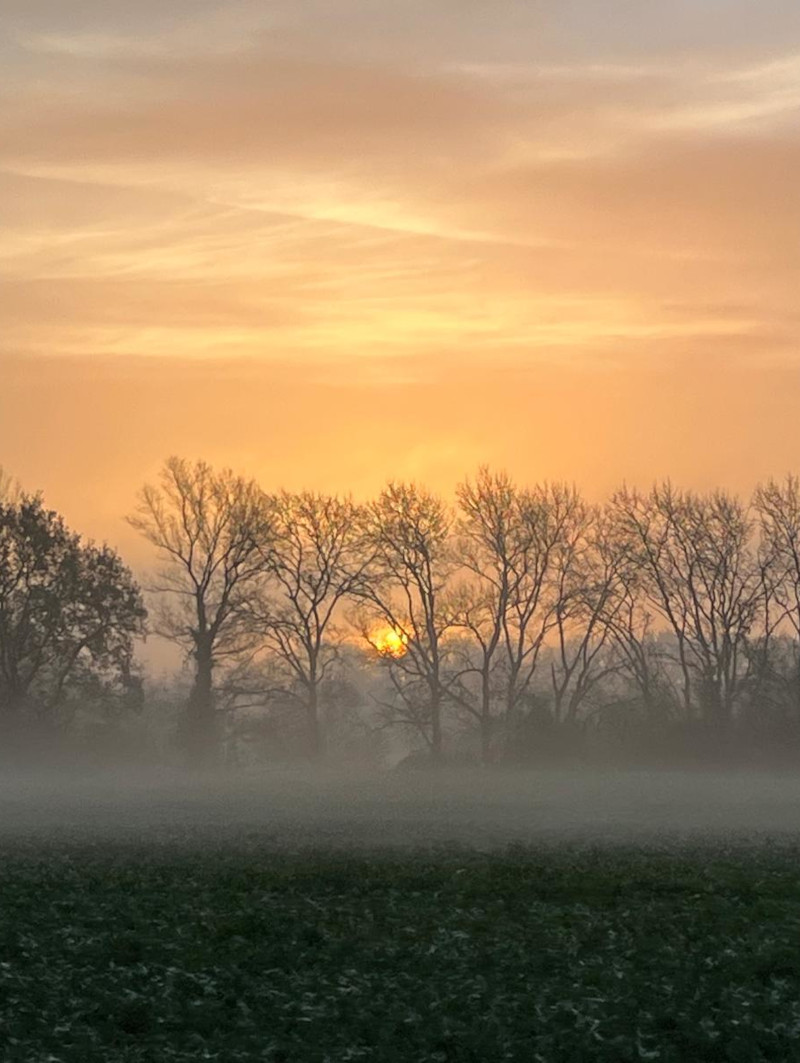 Eveil interieur - feng-shui et geobiologie - buzet sur tarn - toulouse