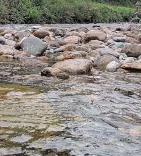 Eveil interieur - geobiologie - buzet sur tarn - toulouse et alentours
